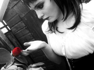 <img300*0:stuff/z/171921/Beki%2527s%2520Manips/Painting-the-Roses-Red.jpg>
