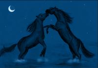 <img200*0:http://elftown.heddate.com/stuff/z/171921/nyaaaaaaaaaaaaag/Under%20the%20blue%20moon%20full.png>