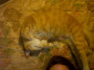 <img300*0:stuff/z/173552/blehk/i1312703745_20.jpg>
