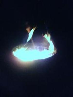 <img300*0:stuff/z/173552/blehk/i1312703745_26.jpg>