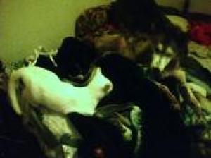 <img300*0:stuff/z/173552/blehk/i1312703745_8.jpg>