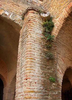 <img300*0:stuff/z/173923/Chrysilla%2520-%2520Fortress%2520of%2520Salse/Untitled-7.JPG>