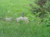 <img100*0:stuff/z/173923/Dave%2527s%2520Wildlife%2520Photography/BlueJay.jpg>