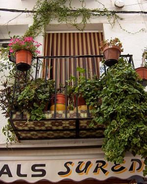 <img300*0:stuff/z/173923/My%2520Spain/Untitled-113.JPG>