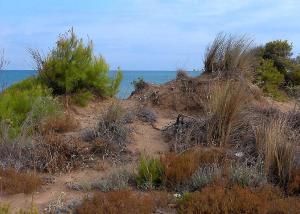 <img300*0:stuff/z/173923/My%2520Spain/Untitled-131.JPG>
