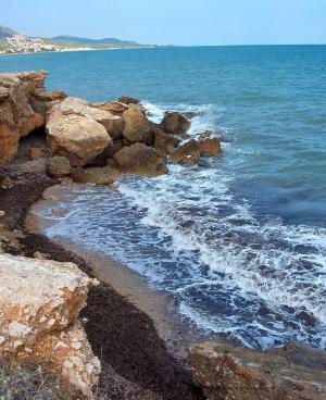 <img300*0:stuff/z/173923/My%2520Spain/Untitled-17.JPG>