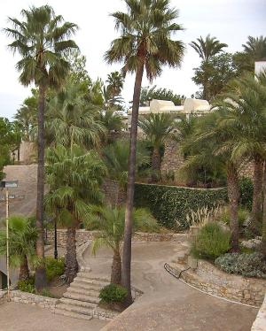<img300*0:stuff/z/173923/My%2520Spain/Untitled-20%82.JPG>