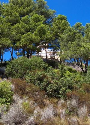 <img300*0:stuff/z/173923/My%2520Spain/Untitled-6(2).JPG>