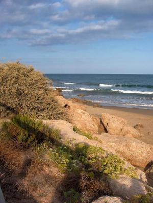 <img300*0:stuff/z/173923/My%2520Spain/Untitled-61.JPG>