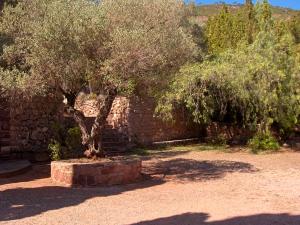 <img300*0:stuff/z/173923/My%2520Spain/Untitled-7.JPG>