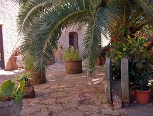 <img300*0:stuff/z/173923/My%2520Spain/Untitled-8.JPG>