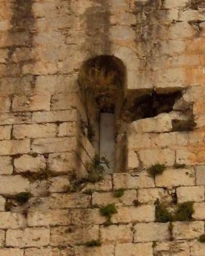 <img300*0:stuff/z/173923/My%2520Spain/Untitled-82.JPG>