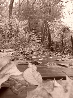 <img300*0:stuff/z/174703/Panophobic/009.JPG>