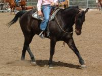 <img200*0:stuff/z/174707/Horse%2520References%2520by%2520Epona/DSCF0013.JPG>