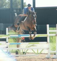 <img200*0:stuff/z/174707/Horse%2520References%2520by%2520Epona/HorseShow1%20(1).JPG>