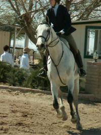<img200*0:stuff/z/174707/Horse%2520References%2520by%2520Epona/HorseShow1%20(103).JPG>
