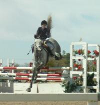 <img200*0:stuff/z/174707/Horse%2520References%2520by%2520Epona/HorseShow1%20(154).JPG>