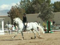 <img200*0:stuff/z/174707/Horse%2520References%2520by%2520Epona/HorseShow1%20(16).JPG>