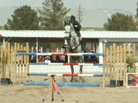 <img200*0:stuff/z/174707/Horse%2520References%2520by%2520Epona/HorseShow1%20(201).JPG>