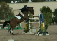 <img200*0:stuff/z/174707/Horse%2520References%2520by%2520Epona/HorseShow1%20(237).JPG>