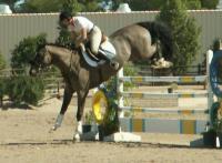 <img200*0:stuff/z/174707/Horse%2520References%2520by%2520Epona/HorseShow1%20(25).JPG>