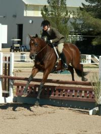 <img200*0:stuff/z/174707/Horse%2520References%2520by%2520Epona/HorseShow1%20(26).JPG>