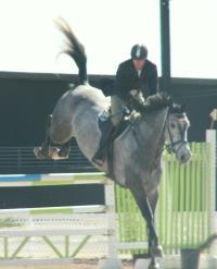 <img200*0:stuff/z/174707/Horse%2520References%2520by%2520Epona/HorseShow1%20(4).JPG>