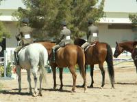 <img200*0:stuff/z/174707/Horse%2520References%2520by%2520Epona/HorseShow1%20(69).JPG>