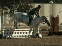 <img200*0:stuff/z/174707/Horse%2520References%2520by%2520Epona/PICT0067.JPG>