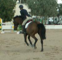 <img200*0:stuff/z/174707/Horse%2520References%2520by%2520Epona/PICT0294.JPG>