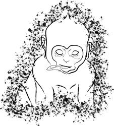 <img0*250:stuff/z/175322/CreativeSuite%2520Prowler/i1210153948_15.jpg>