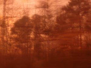 <img300*0:stuff/z/176389/A.1%2520Wreckage/SANY6231.JPG>