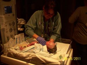 <img300*0:stuff/z/178728/Baby%2520reference/1%20birth%2058.JPG>