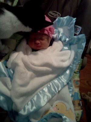 <img300*0:stuff/z/178728/Baby%2520reference/3%20a%20days%20old%206.jpg>