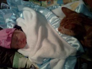<img300*0:stuff/z/178728/Baby%2520reference/3%20a%20days%20old%207.jpg>