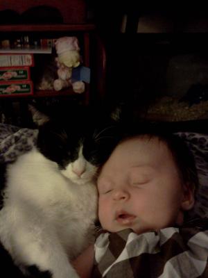 <img300*0:stuff/z/178728/Baby%2520reference/3%20b%201%20week%20old%206.jpg>