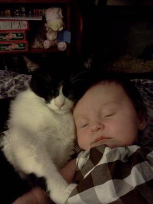 <img300*0:stuff/z/178728/Baby%2520reference/3%20b%201%20week%20old%207.jpg>