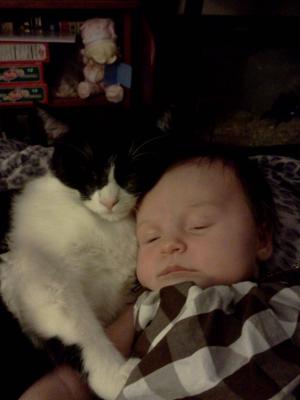 <img300*0:stuff/z/178728/Baby%2520reference/3%20b%201%20week%20old%208.jpg>