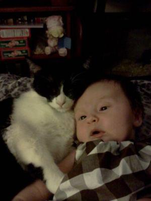 <img300*0:stuff/z/178728/Baby%2520reference/3%20b%201%20week%20old%209.jpg>