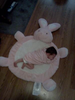 <img300*0:stuff/z/178728/Baby%2520reference/3%20c%204%20weeks%20old%201.jpg>