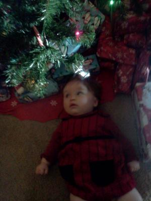 <img300*0:stuff/z/178728/Baby%2520reference/6%20months%205.jpg>