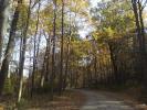 Indian Point, Fall