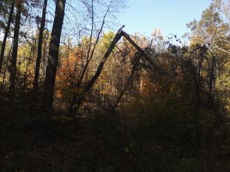 <img0*250:stuff/z/178728/Indian%2520Point%252c%2520Fall/Image10242010160017.jpg>