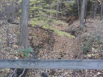 <img0*250:stuff/z/178728/Indian%2520Point%252c%2520Fall/Image10242010160756.jpg>