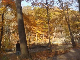 <img0*250:stuff/z/178728/Indian%2520Point%252c%2520Fall/Image10242010161332.jpg>