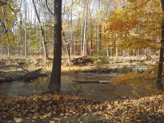 <img0*250:stuff/z/178728/Indian%2520Point%252c%2520Fall/Image10242010161401.jpg>