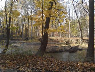 <img0*250:stuff/z/178728/Indian%2520Point%252c%2520Fall/Image10242010161526.jpg>