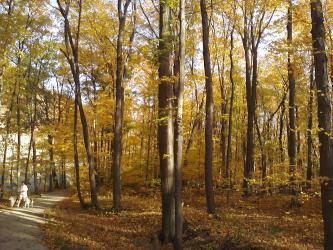 <img0*250:stuff/z/178728/Indian%2520Point%252c%2520Fall/Image10242010161710.jpg>