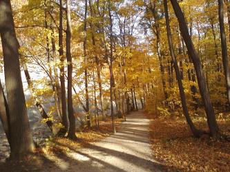<img0*250:stuff/z/178728/Indian%2520Point%252c%2520Fall/Image10242010161757.jpg>