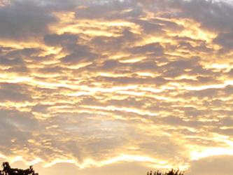 <img0*250:stuff/z/178728/Raven%2527s%2520sunsets/Copy%20of%20IMG_20110722_204558.jpg>